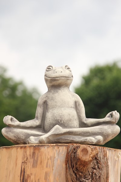 Yoga Frosch