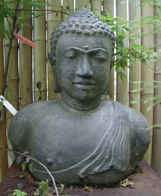 Buddha Büste - 55 cm